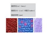 浙科版高中生物必修1 2-1《細胞是生命的單位》課件