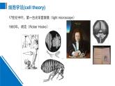 浙科版高中生物必修1 2-1《細胞是生命的單位》課件