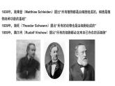 浙科版高中生物必修1 2-1《細胞是生命的單位》課件