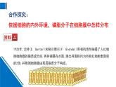 浙科版高中生物必修1 2-2《細胞膜控制細胞與周圍環(huán)境的聯(lián)系》第二課時課件