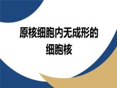 浙科版高中生物必修1 2-2《2-6 原核細胞內無成形的細胞核》教學課件