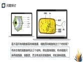 浙科版高中生物必修1 2-2《2-6 原核細胞內無成形的細胞核》教學課件