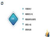 浙科版高中生物必修1 2-2《4-2 細(xì)胞通過分化產(chǎn)生不同類型的細(xì)胞》教學(xué)課件