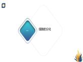 浙科版高中生物必修1 2-2《4-2 細(xì)胞通過分化產(chǎn)生不同類型的細(xì)胞》教學(xué)課件