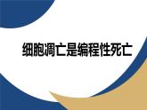 浙科版高中生物必修1 2-2《4-3 細胞凋亡是編程性死亡》教學課件