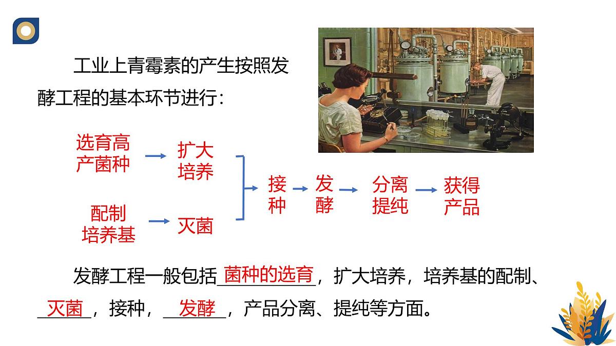 人教版高中生物 选修3 1-3 发酵工程及其应用》教学课件2第4页