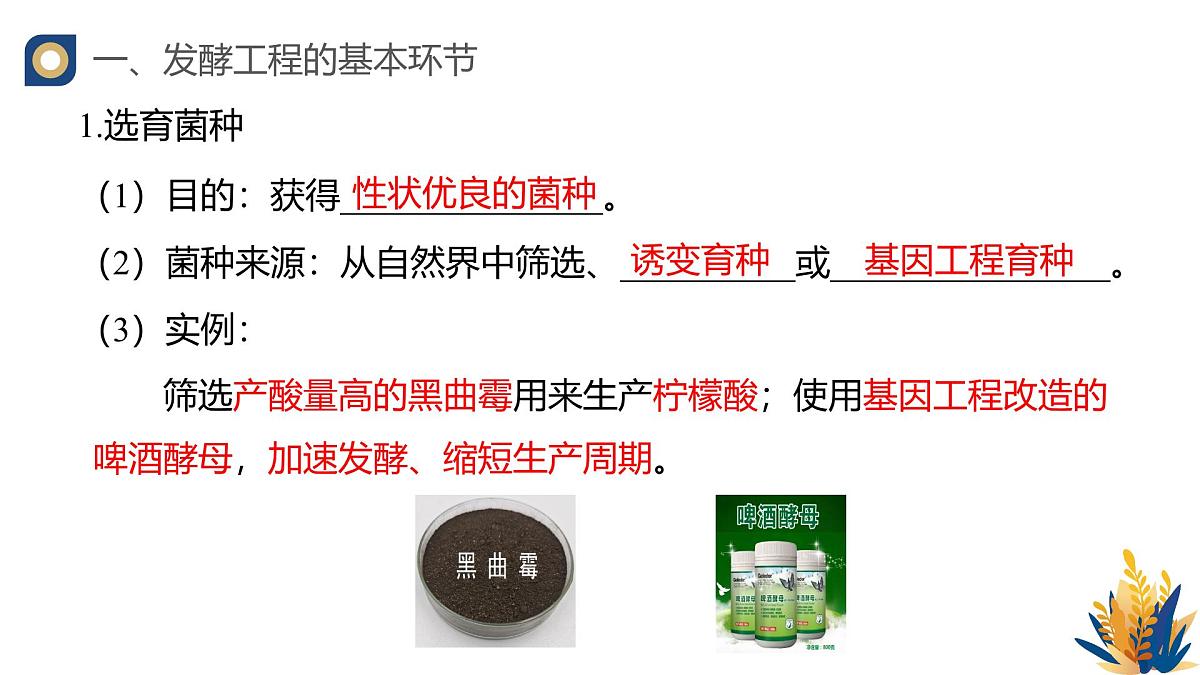 人教版高中生物 选修3 1-3 发酵工程及其应用》教学课件2第5页