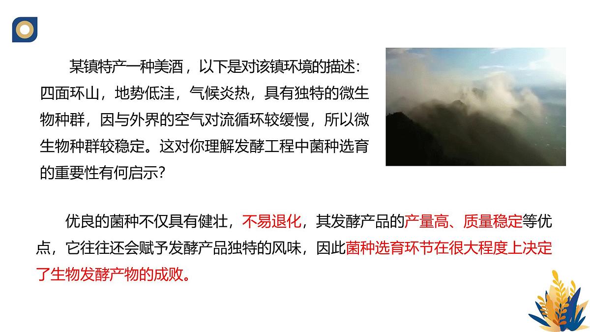 人教版高中生物 选修3 1-3 发酵工程及其应用》教学课件2第6页