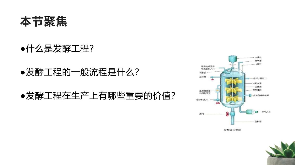 人教版高中生物 选修3 1-3《发酵工程及其应用》教学课件第2页