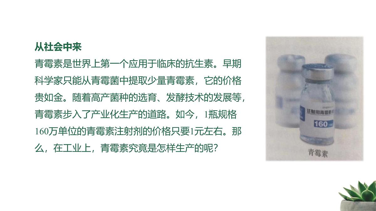 人教版高中生物 选修3 1-3《发酵工程及其应用》教学课件第3页