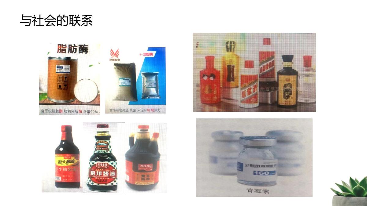 人教版高中生物 选修3 1-3《发酵工程及其应用》教学课件第4页