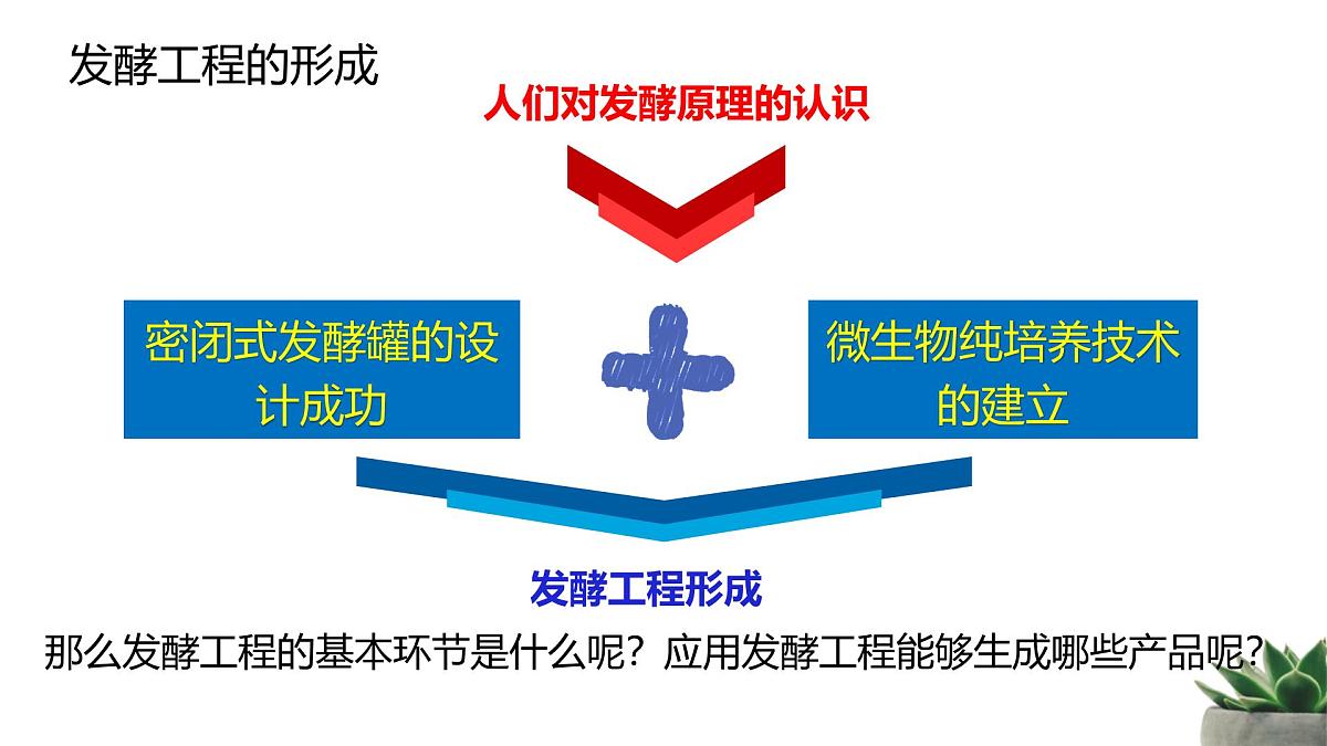 人教版高中生物 选修3 1-3《发酵工程及其应用》教学课件第5页