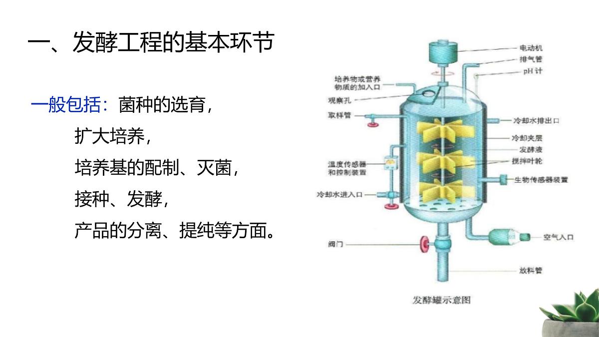 人教版高中生物 选修3 1-3《发酵工程及其应用》教学课件第6页