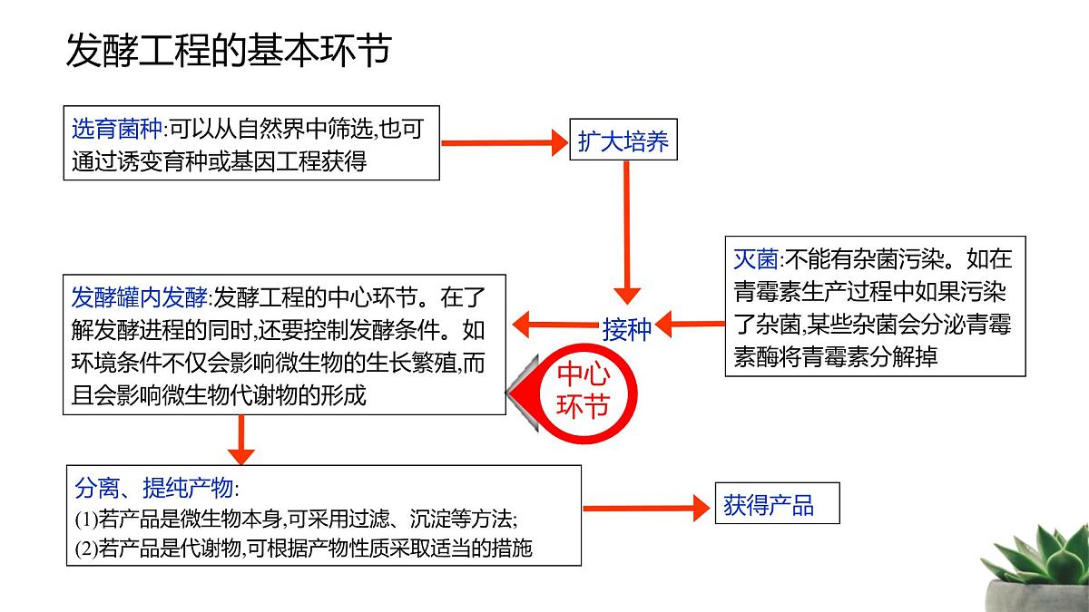 人教版高中生物 选修3 1-3《发酵工程及其应用》教学课件第7页