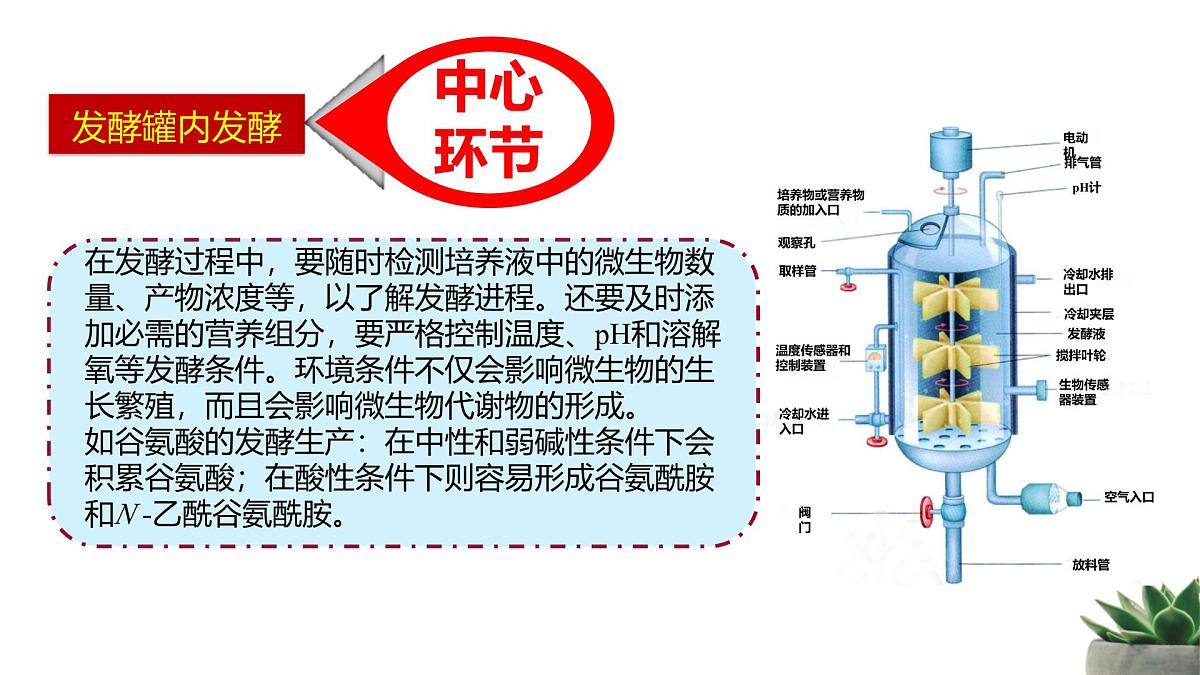 人教版高中生物 选修3 1-3《发酵工程及其应用》教学课件第8页