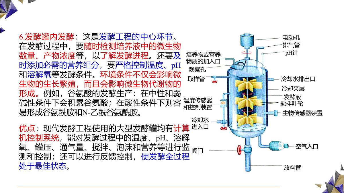 人教版高中生物 选修3 1-3《发酵工程及其应用》课件第5页