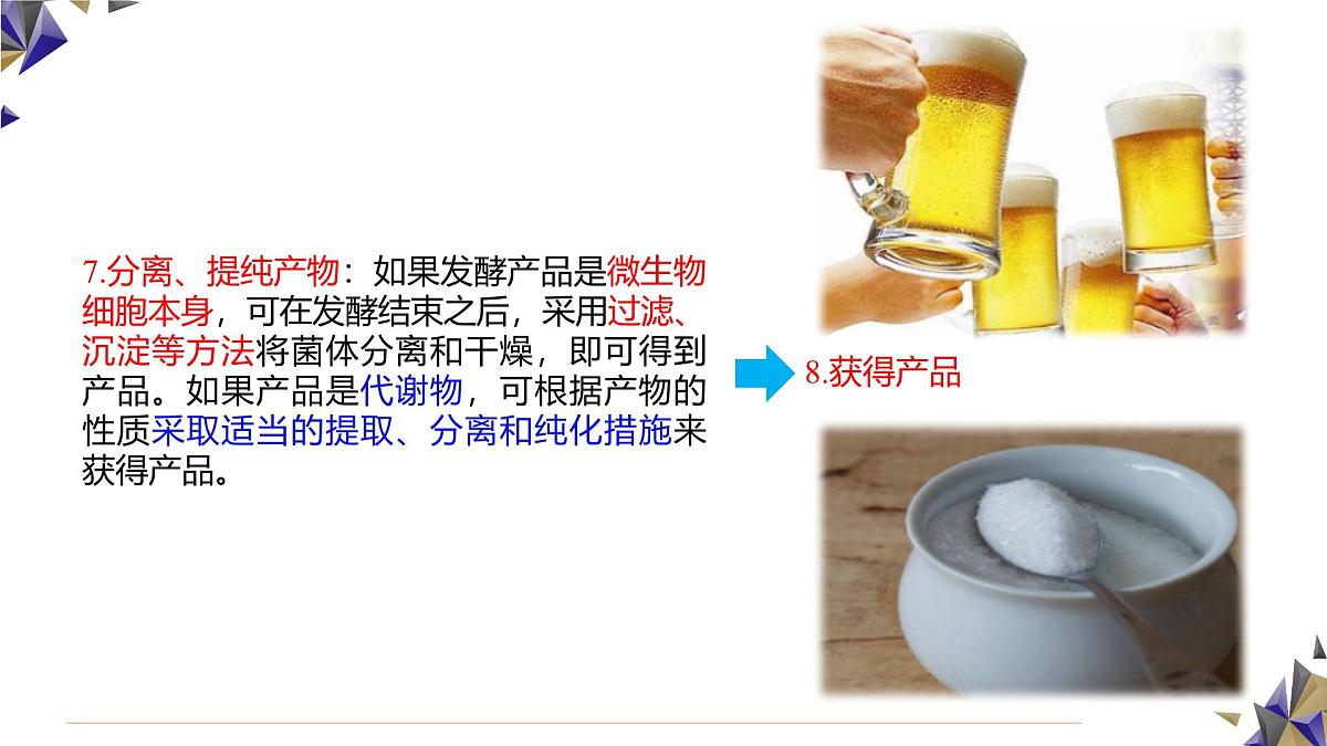 人教版高中生物 选修3 1-3《发酵工程及其应用》课件第6页