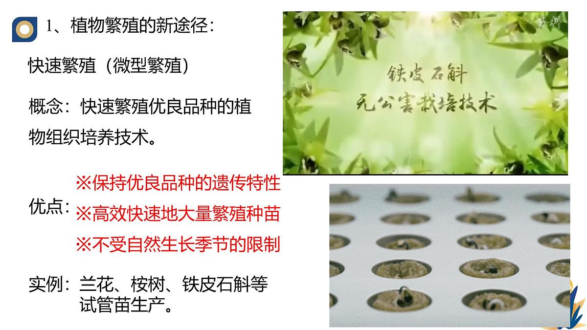人教版高中生物 选修3《2-1 植物细胞工程的应用》教学课件2第2页