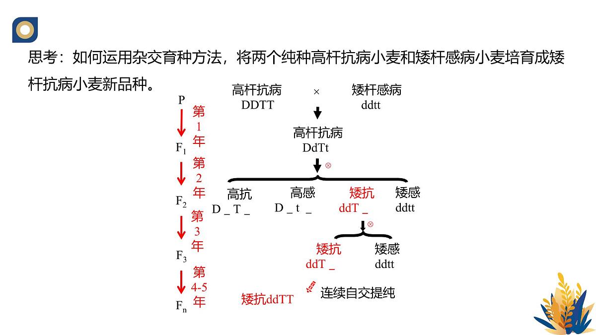 人教版高中生物 选修3《2-1 植物细胞工程的应用》教学课件2第4页
