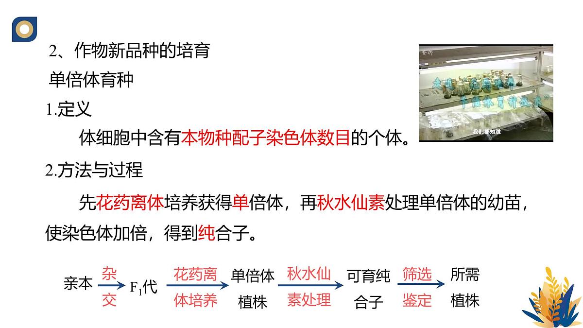 人教版高中生物 选修3《2-1 植物细胞工程的应用》教学课件2第5页