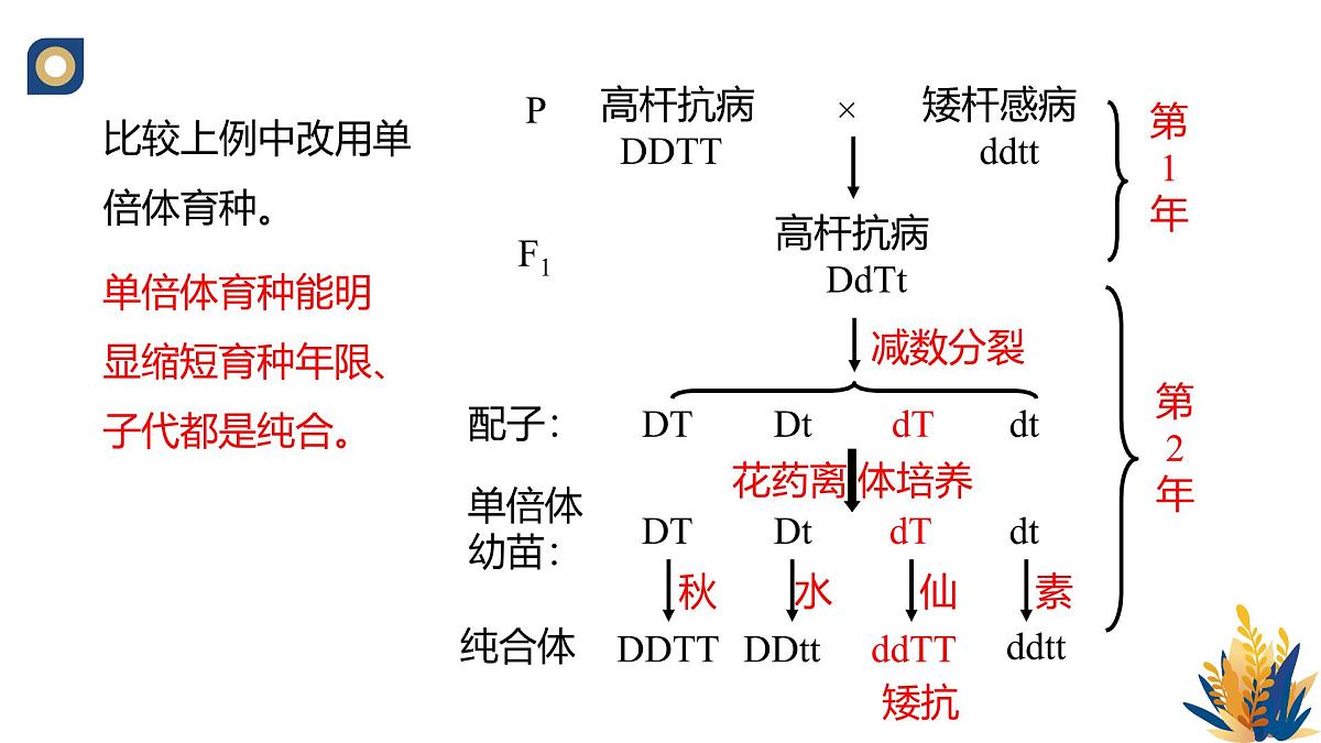 人教版高中生物 选修3《2-1 植物细胞工程的应用》教学课件2第6页