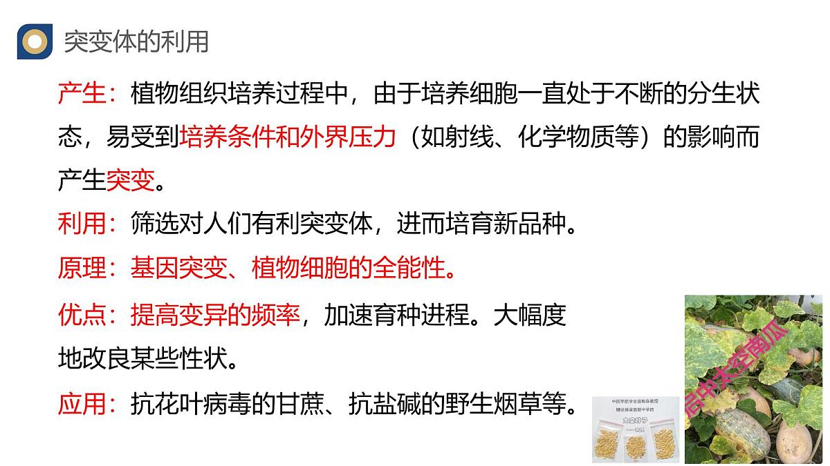 人教版高中生物 选修3《2-1 植物细胞工程的应用》教学课件2第7页