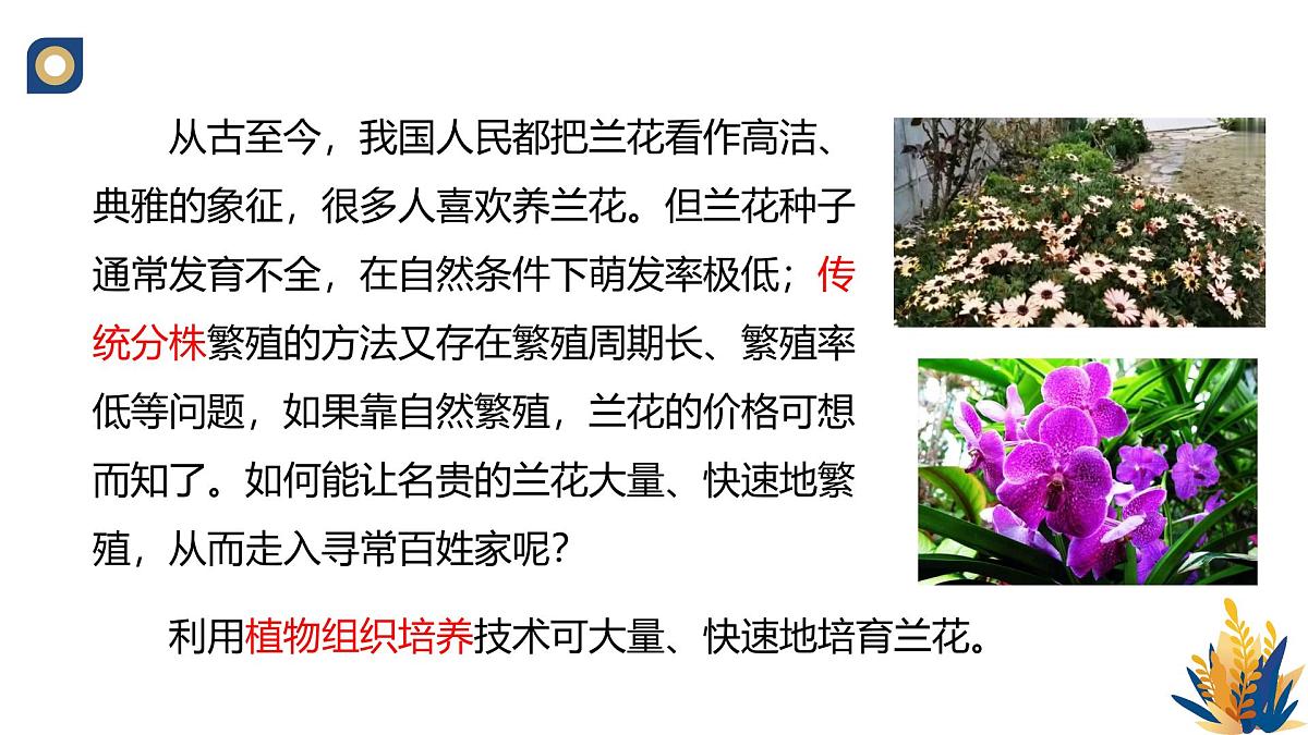 人教版高中生物 选修3《2-1 植物细胞工程的基本技术》教学课件第2页