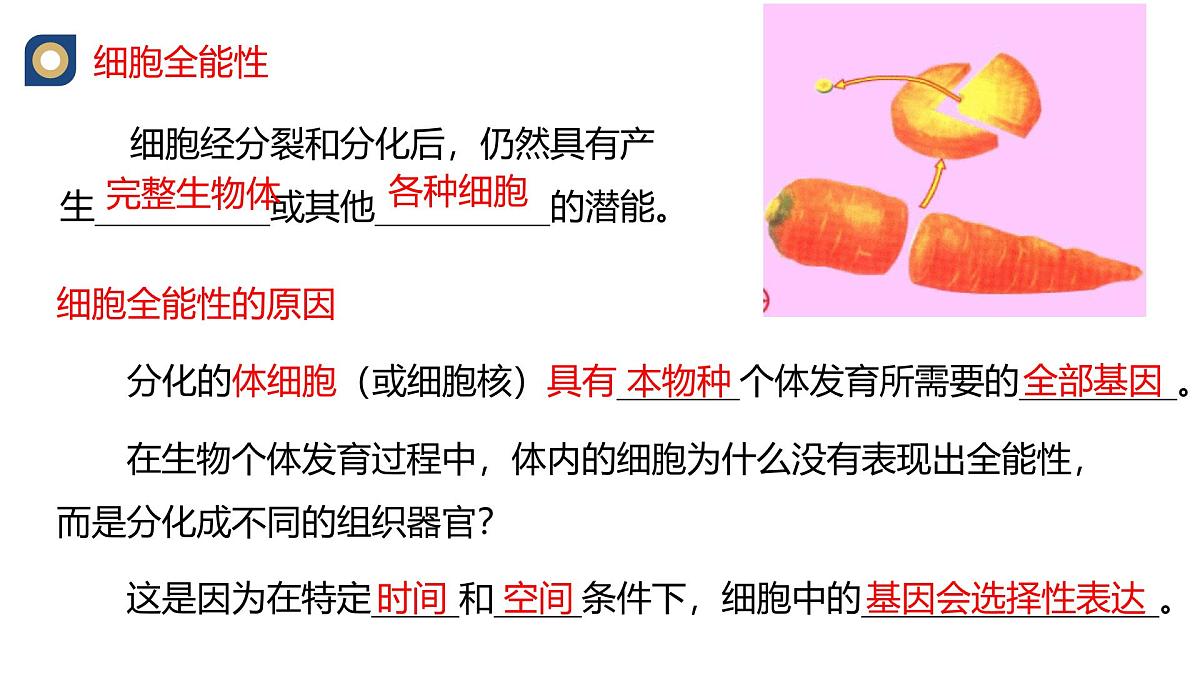 人教版高中生物 选修3《2-1 植物细胞工程的基本技术》教学课件第3页