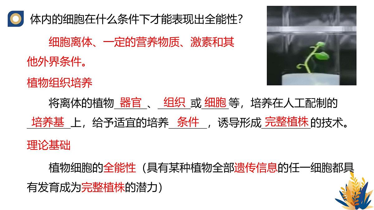 人教版高中生物 选修3《2-1 植物细胞工程的基本技术》教学课件第4页