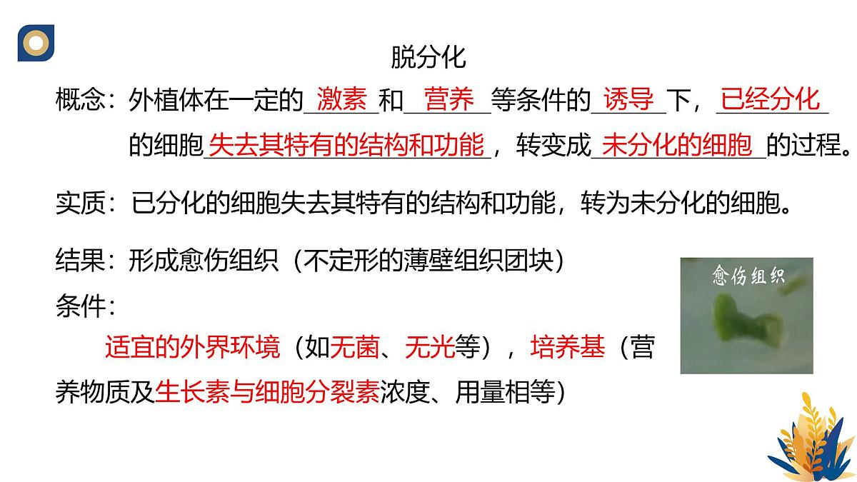 人教版高中生物 选修3《2-1 植物细胞工程的基本技术》教学课件第6页