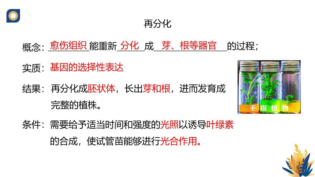 人教版高中生物 选修3《2-1 植物细胞工程的基本技术》教学课件第7页