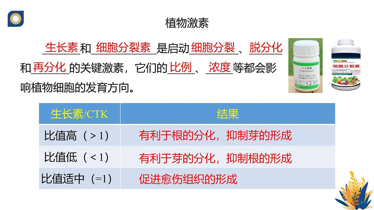 人教版高中生物 选修3《2-1 植物细胞工程的基本技术》教学课件第8页