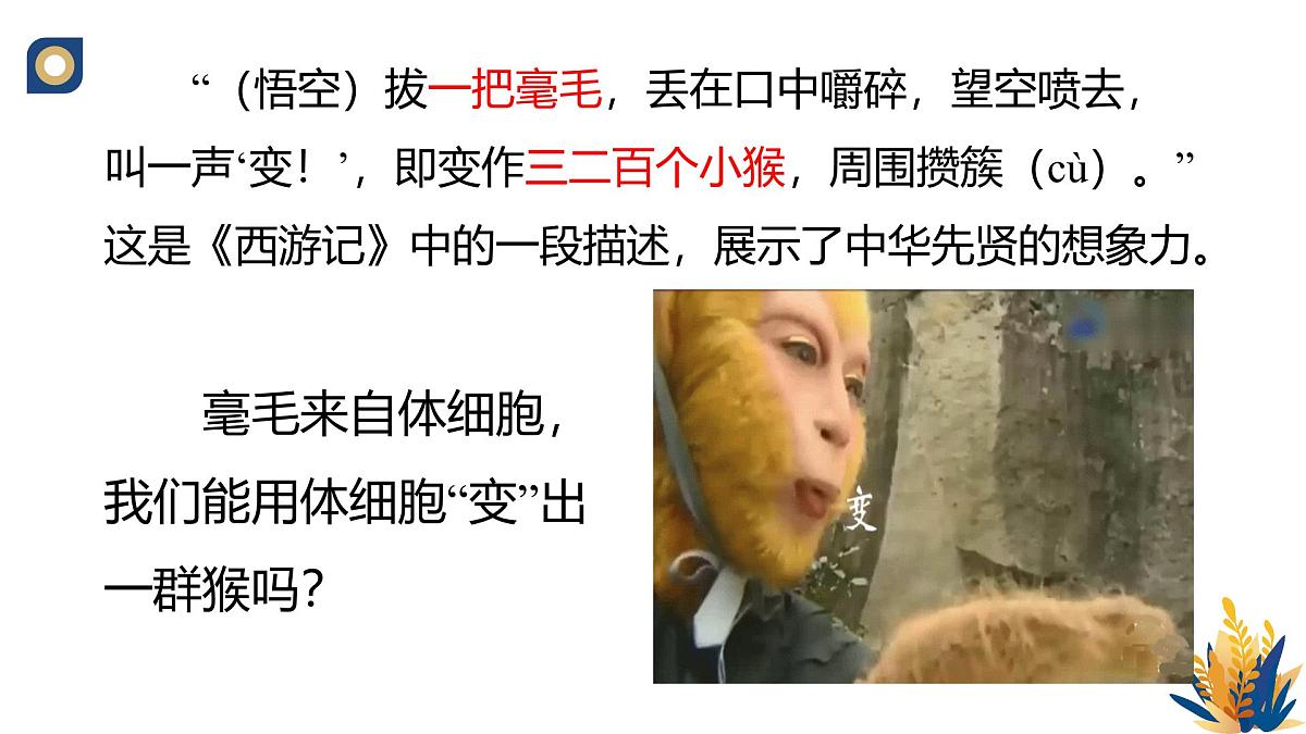 人教版高中生物 选修3《2-2 动物体细胞核移植技术与克隆动物》教学课件2第2页