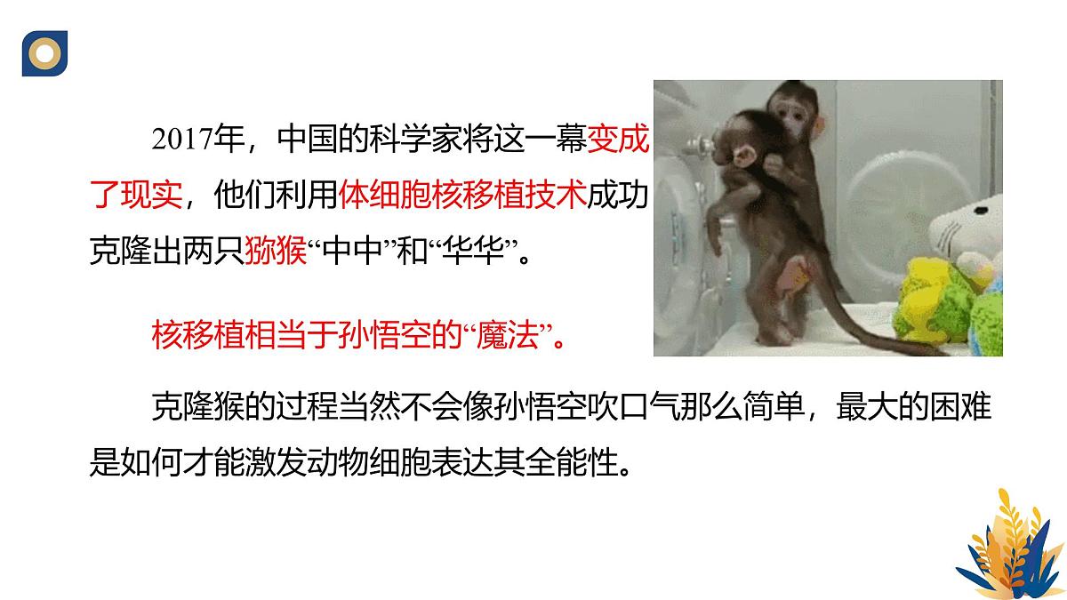 人教版高中生物 选修3《2-2 动物体细胞核移植技术与克隆动物》教学课件2第3页