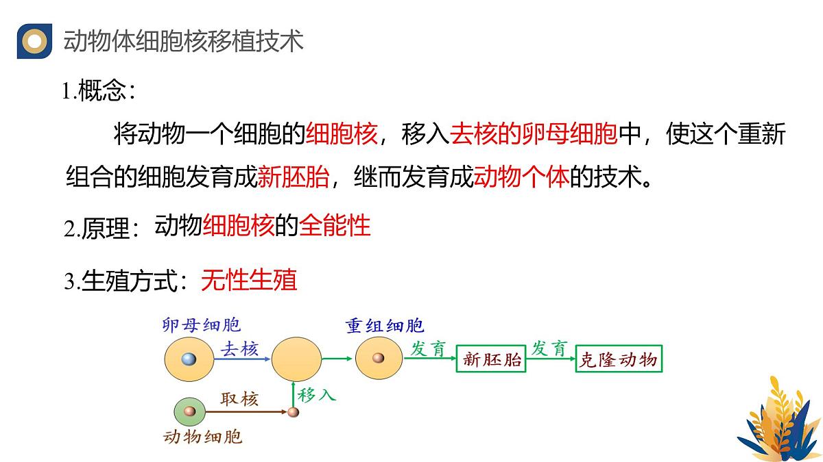 人教版高中生物 选修3《2-2 动物体细胞核移植技术与克隆动物》教学课件2第4页