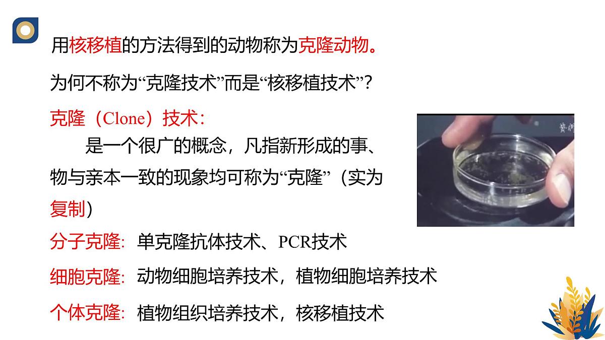 人教版高中生物 选修3《2-2 动物体细胞核移植技术与克隆动物》教学课件2第5页
