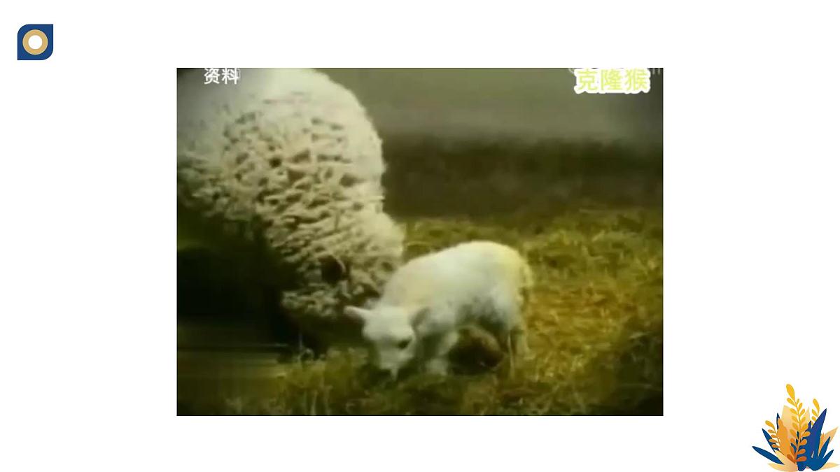 人教版高中生物 选修3《2-2 动物体细胞核移植技术与克隆动物》教学课件2第8页