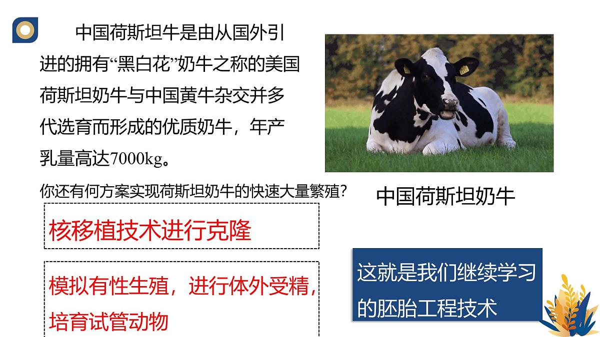 人教版高中生物 选修3《2-3 胚胎工程的理论基础》教学课件2第3页