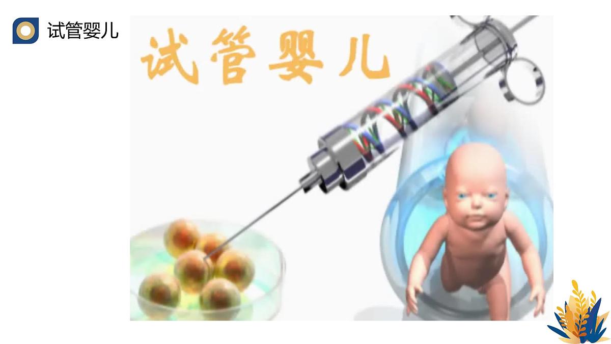 人教版高中生物 选修3《2-3 胚胎工程技术及其应用》课件第3页