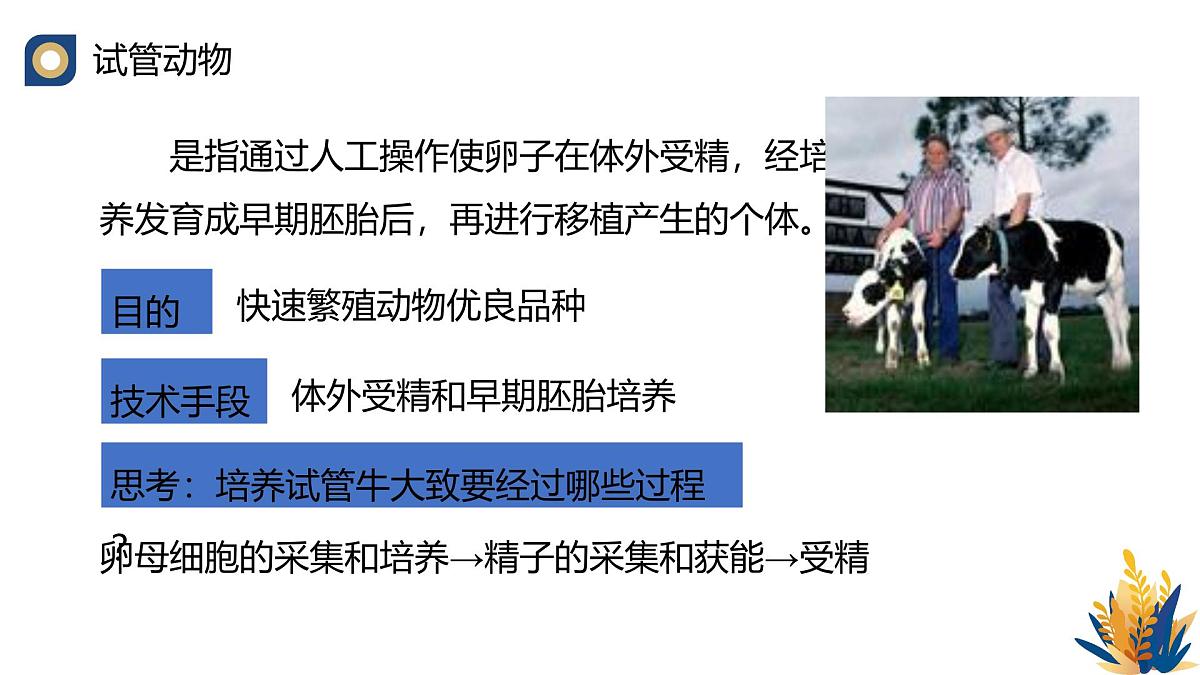 人教版高中生物 选修3《2-3 胚胎工程技术及其应用》课件第5页