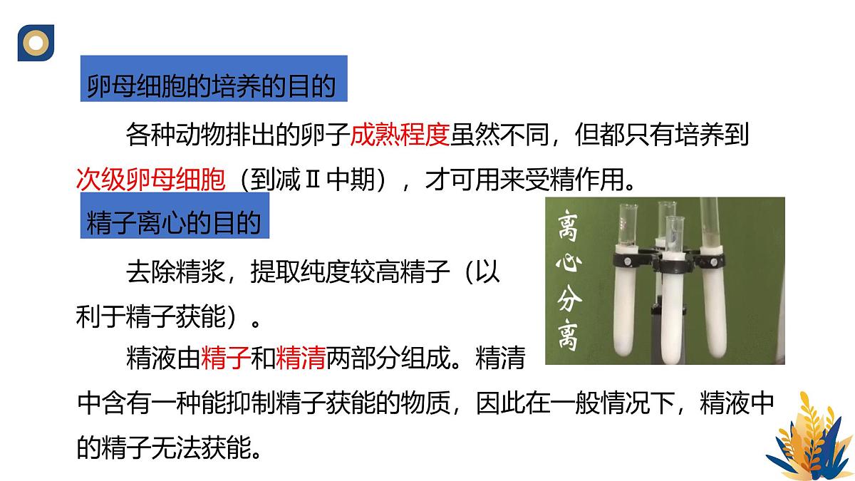 人教版高中生物 选修3《2-3 胚胎工程技术及其应用》课件第7页