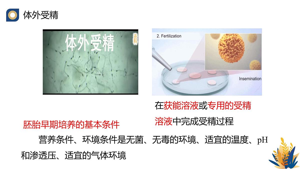 人教版高中生物 选修3《2-3 胚胎工程技术及其应用》课件第8页