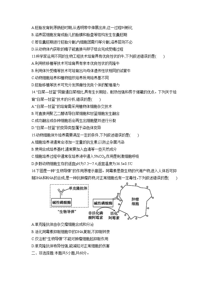 人教版高中生物 选修3第2章细胞工程单元综合检测 无答案第3页