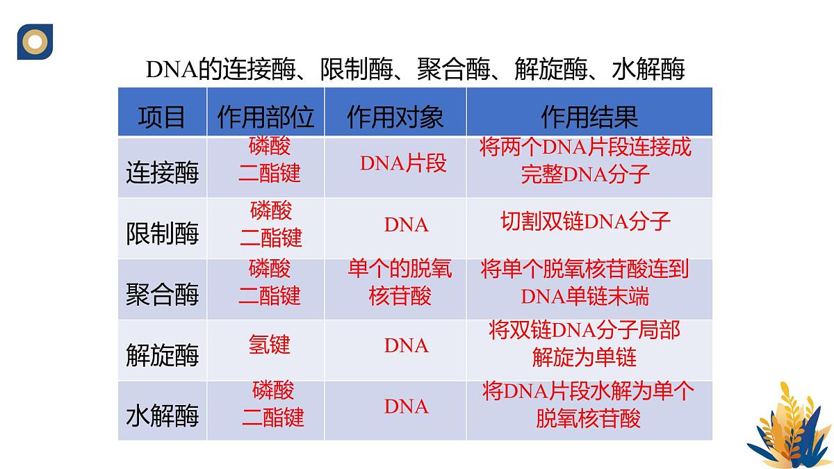 人教版高中生物 选修3《3-1 重组DNA技术的基本工具（第2课时）》教学课件第6页