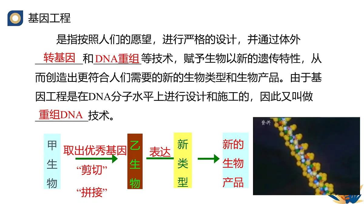 人教版高中生物 选修3《3-1 重组DNA技术的基本工具（第1课时）》教学课件2第3页