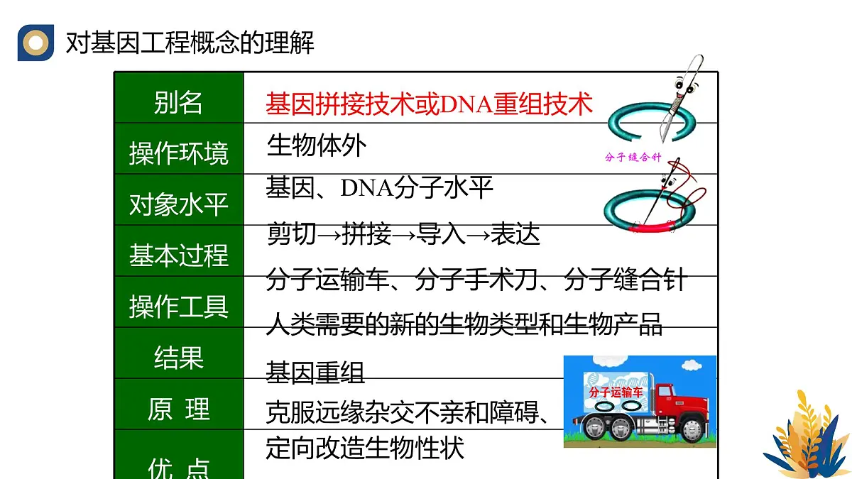 人教版高中生物 选修3《3-1 重组DNA技术的基本工具（第1课时）》教学课件2第4页