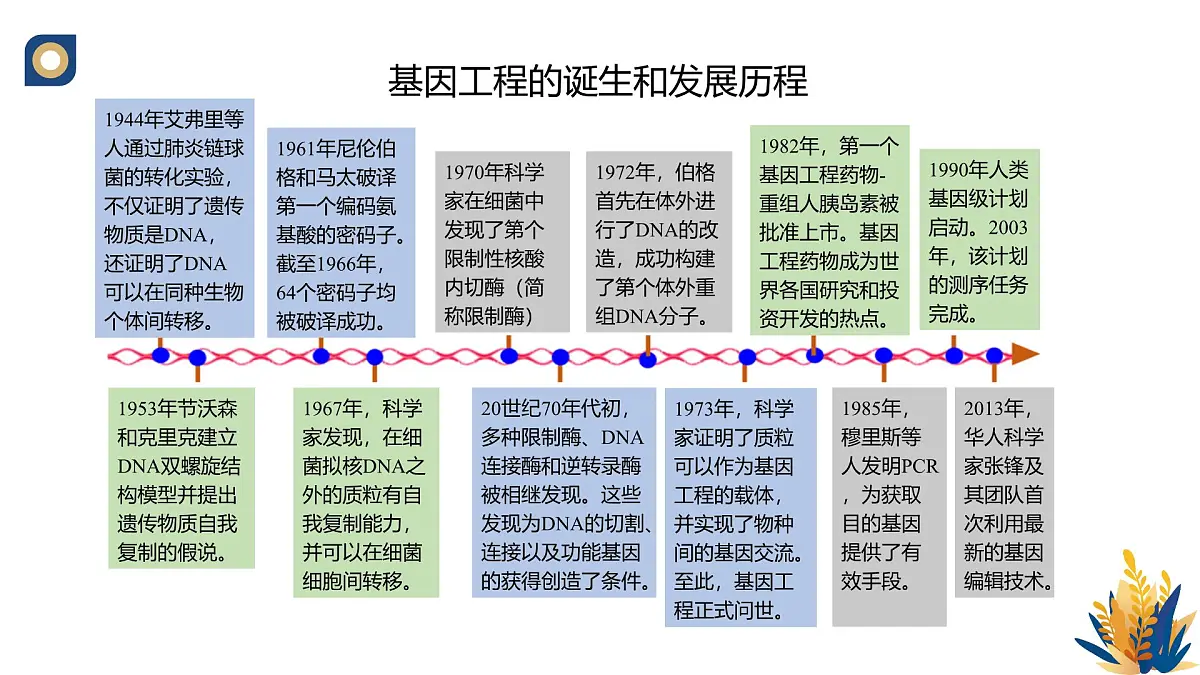 人教版高中生物 选修3《3-1 重组DNA技术的基本工具（第1课时）》教学课件2第5页