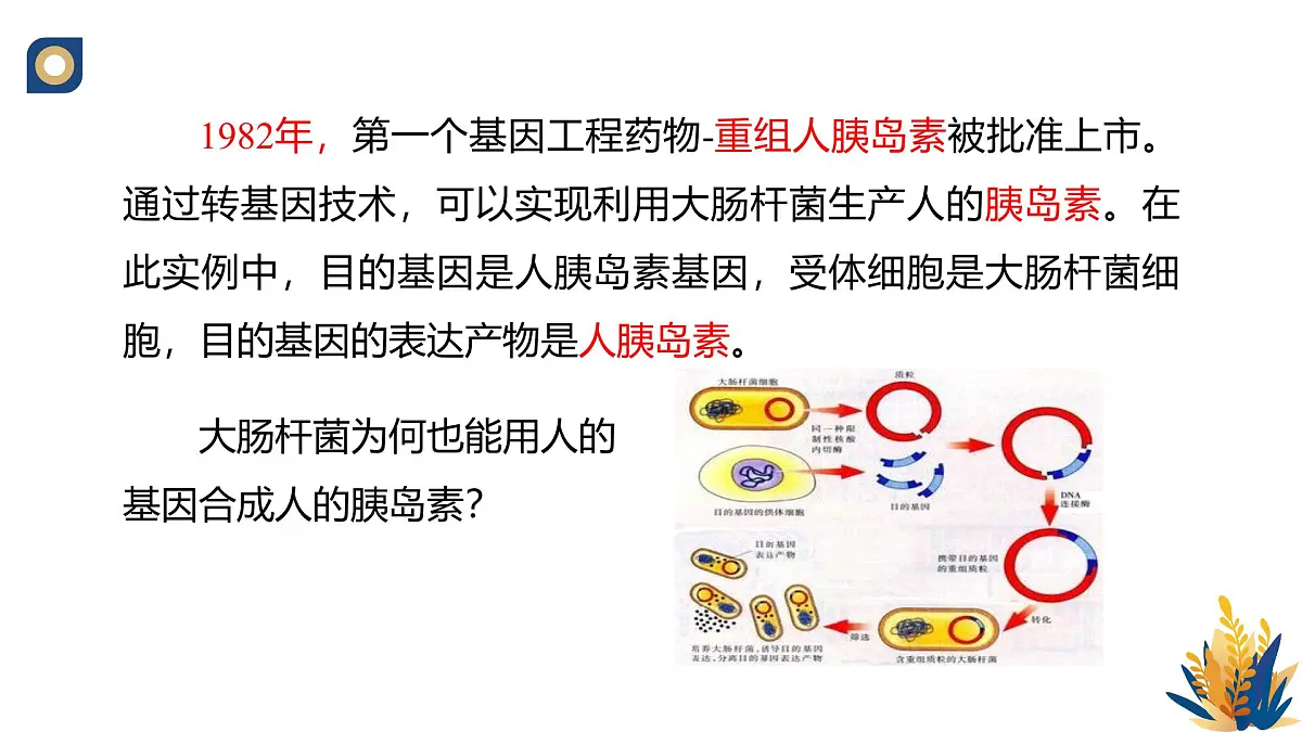 人教版高中生物 选修3《3-1 重组DNA技术的基本工具（第1课时）》教学课件2第6页