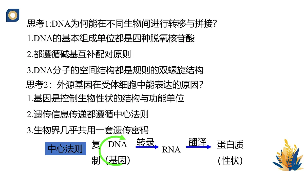 人教版高中生物 选修3《3-1 重组DNA技术的基本工具（第1课时）》教学课件2第7页