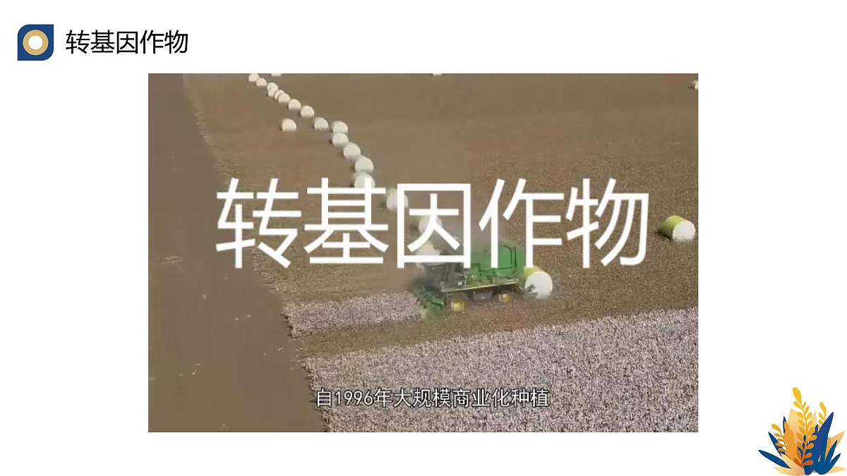 人教版高中生物 选修3《3-3 基因工程的应用》教学课件2第4页